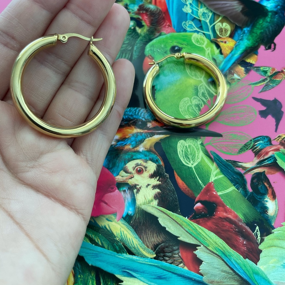Chic Hoops - Picture 3 of 3